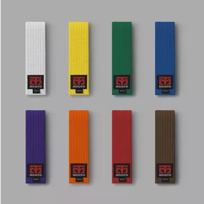 Lot de ceintures de couleur MTX MOOTO pour Taekwondo : jaune, verte, bleue, rouge, violette, orange