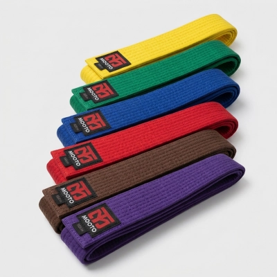 Ceinture Taekwondo MTX MOOTO - Progression et Entraînement